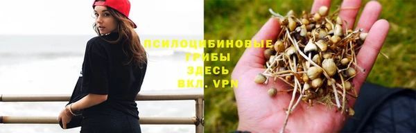 СК Аркадак