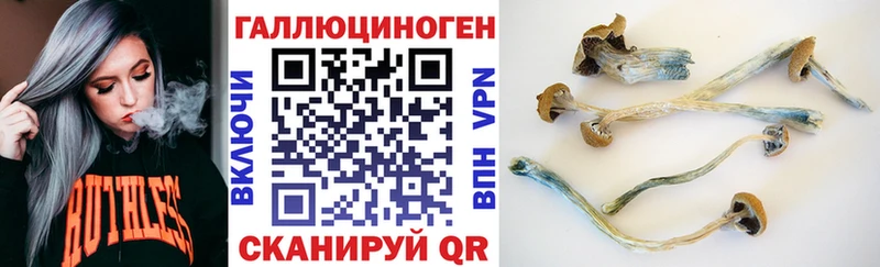 Псилоцибиновые грибы MAGIC MUSHROOMS  как найти   Заозёрный 